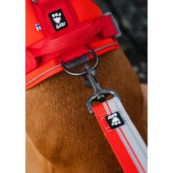 Hurtta Weekend Warrior Eco Harness