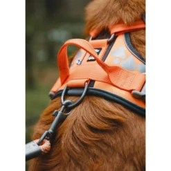 Hurtta Weekend Warrior Harness