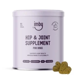 Imby Hip & Joint Cane