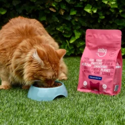 Imby Insect-based Cibo per gatti