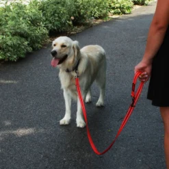 KONG Adjustable Leash - Nero