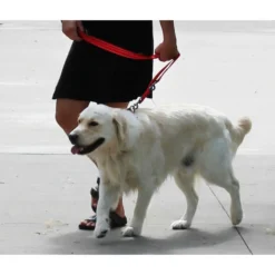 KONG Adjustable Leash - Nero