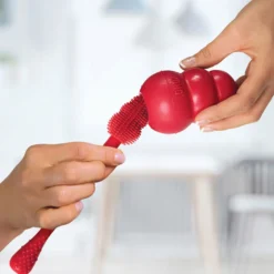 KONG Brush Spazzola per la Pulizia Rossa