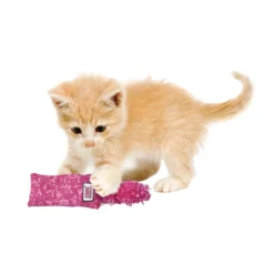KONG Cat - Kitten Kickeroo