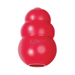 KONG Classic