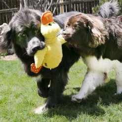 Kong Comfort Jumbo XL Peluche per Cani