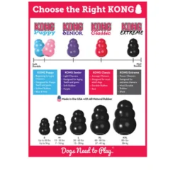 KONG Extreme