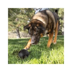 KONG Extreme Ball