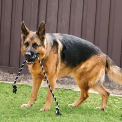 KONG Extreme Palla con Corda