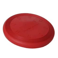 KONG Flyer Frisbee
