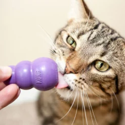 KONG Gatto - Kitty KONG