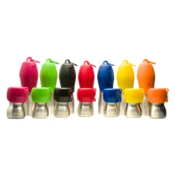KONG H2O Stainless Steel Water Bottle