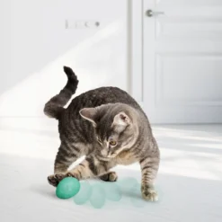 KONG Infused Uovo con Catnip