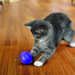 KONG Kat - Treat Ball