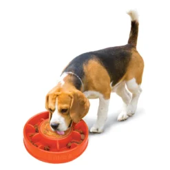 KONG Licks Mealtime Ciotola Slow Feeder