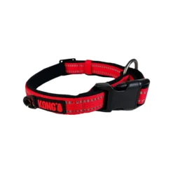 KONG Nylon Collar