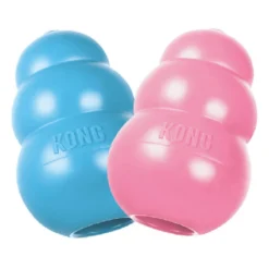 KONG Puppy