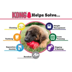 KONG Puppy