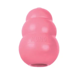 KONG Puppy