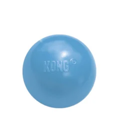 KONG Puppy Ball