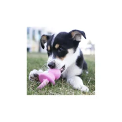 KONG Puppy Binkie