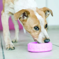 KONG Puppy Tyres