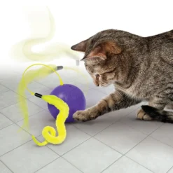 KONG Purrsuit Whirlwind