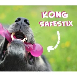 KONG Safestix