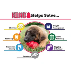 KONG Senior