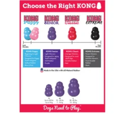 KONG Senior