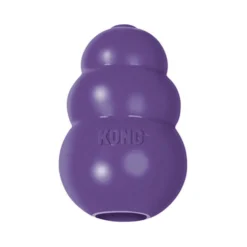 KONG Senior