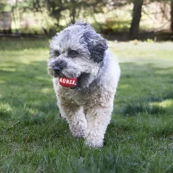 KONG Signature Ball