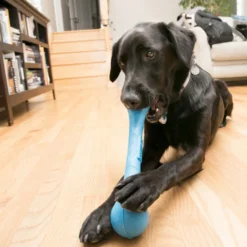 KONG SqueakStix