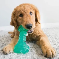 KONG Squeezz Dental Stick
