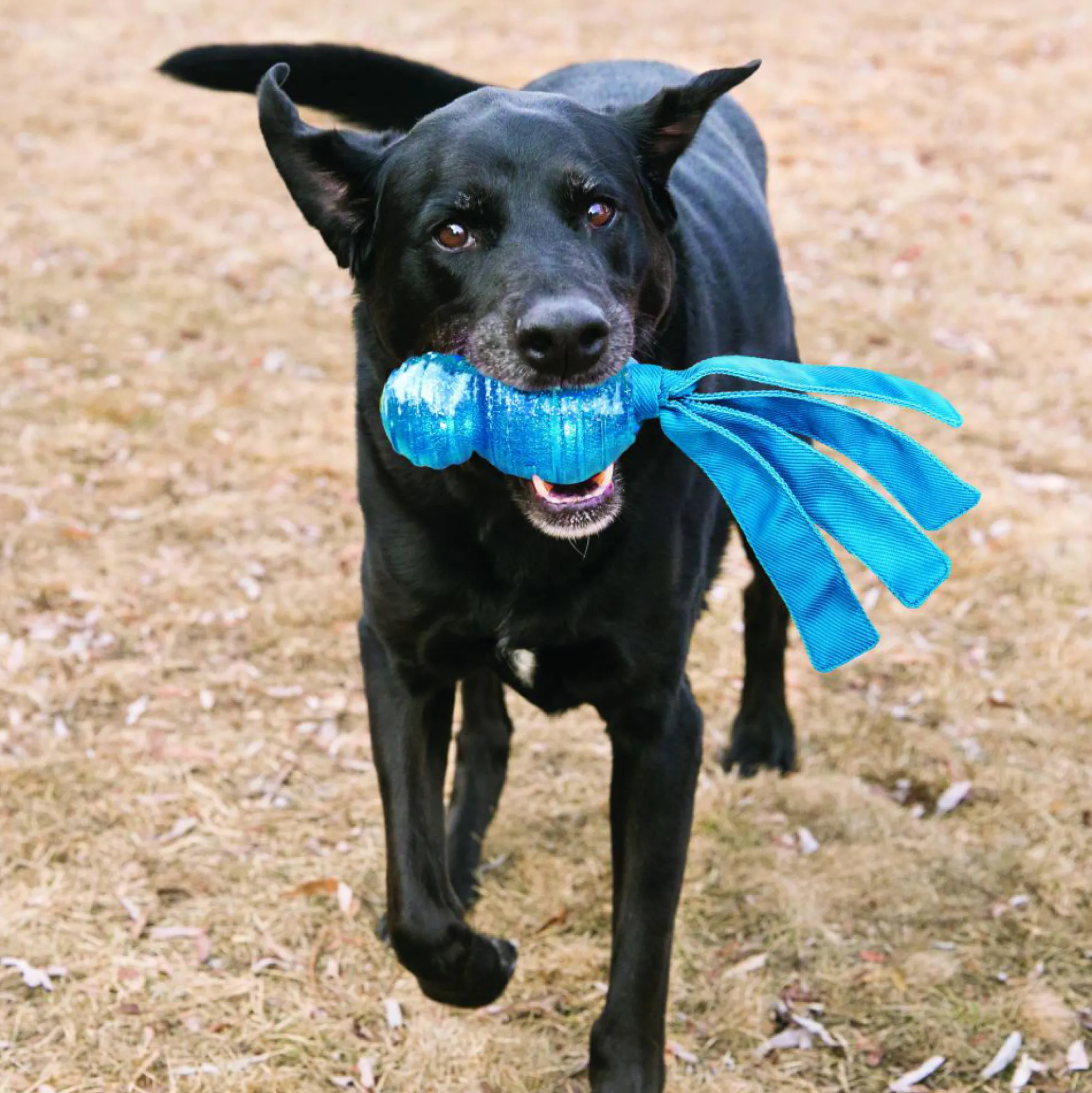 KONG Wubba Comet