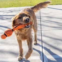 KONG Wubba Sport