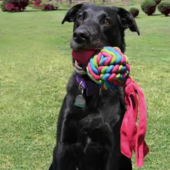 KONG Wubba Weaves