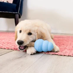 KONG Ziggies Enhanced Puppy