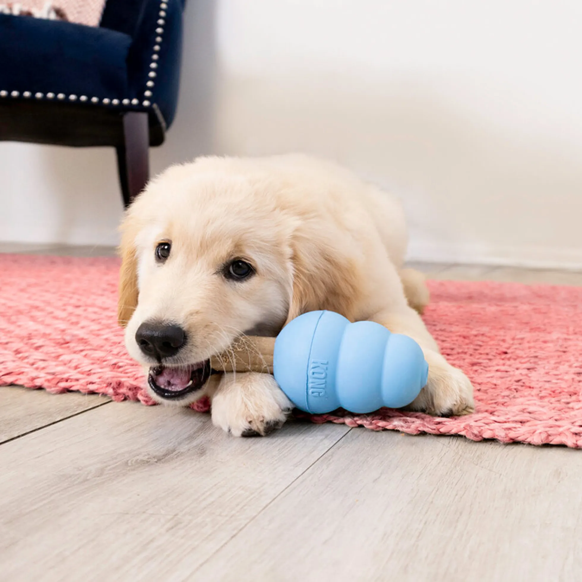 KONG Ziggies Enhanced Puppy