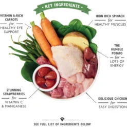 Lily's Kitchen Cibo per Cani - Lattina