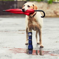 Medical Pet Shirt Boot