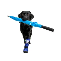 Medical Pet Shirt Boot