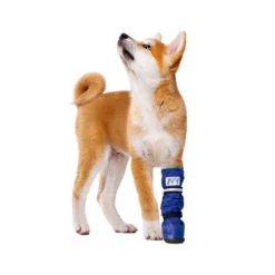 Medical Pet Shirt Boot