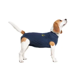 Medical Pet Shirt Cane