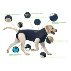 Medical Pet Shirt Cane