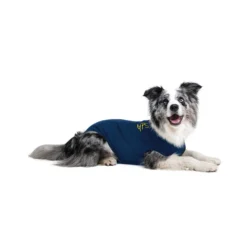 Medical Pet Shirt Cane