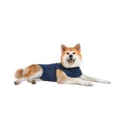 Medical Pet Shirt Cane