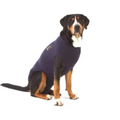 Medical Pet Shirt Cane