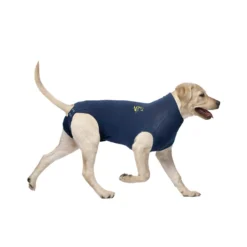 Medical Pet Shirt Cane