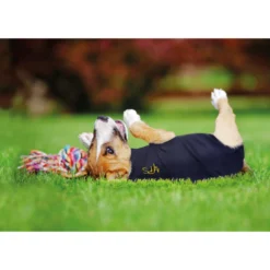 Medical Pet Shirt Cane